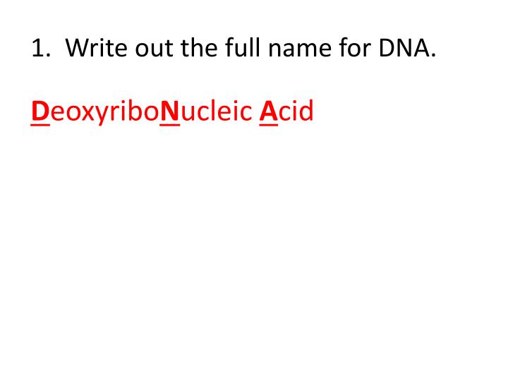 PPT - DNA-The Double Helix PowerPoint Presentation - ID:791473