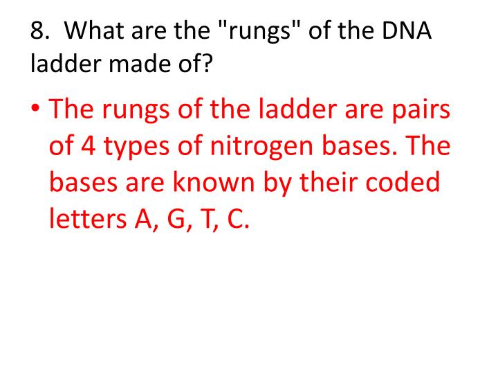 ppt-dna-the-double-helix-powerpoint-presentation-id-791473