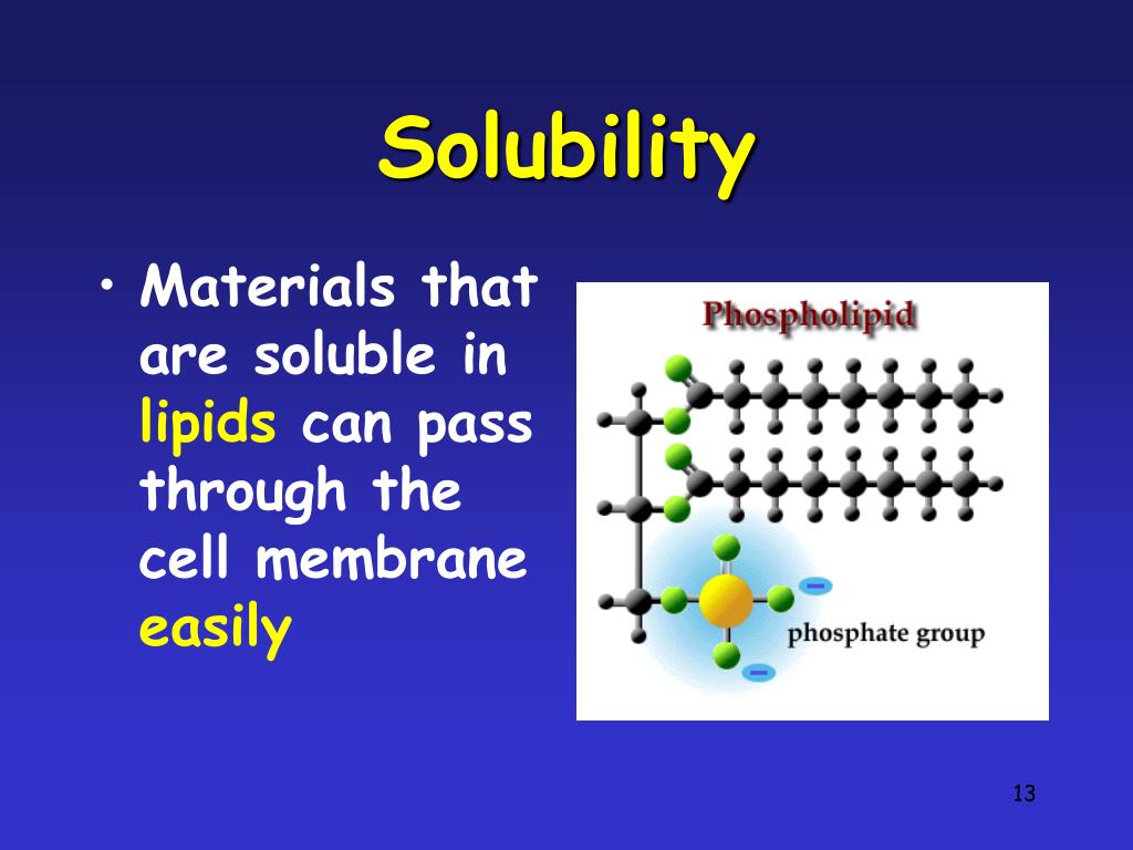 PPT The Plasma Membrane PowerPoint Presentation, free download ID