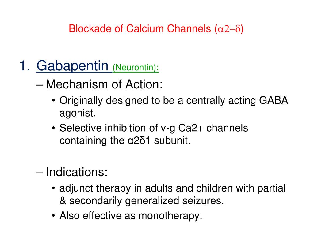 gabapentin mechanism of action dog