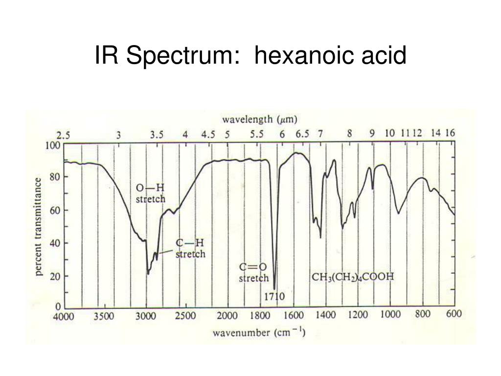 IR Spectrum: hexanoic acid.
