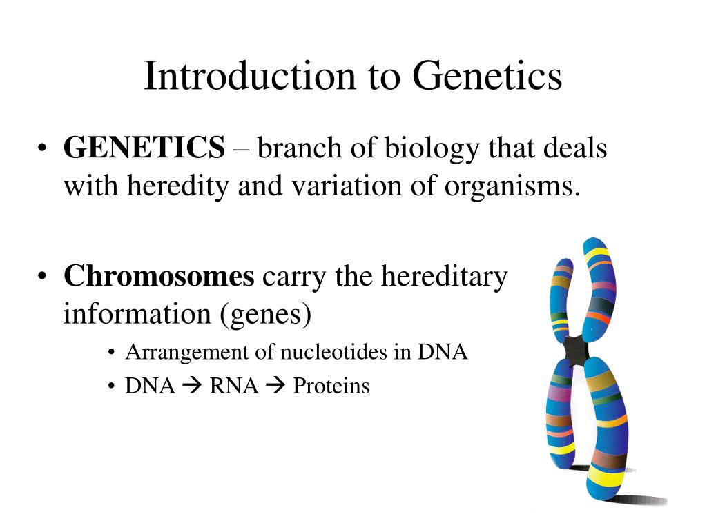 thesis topics related to genetics