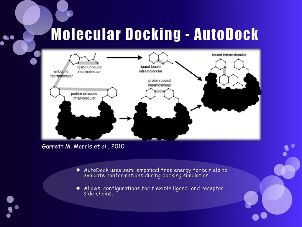 PPT Ligand Docking to MHC Class I Molecules PowerPoint Presentation