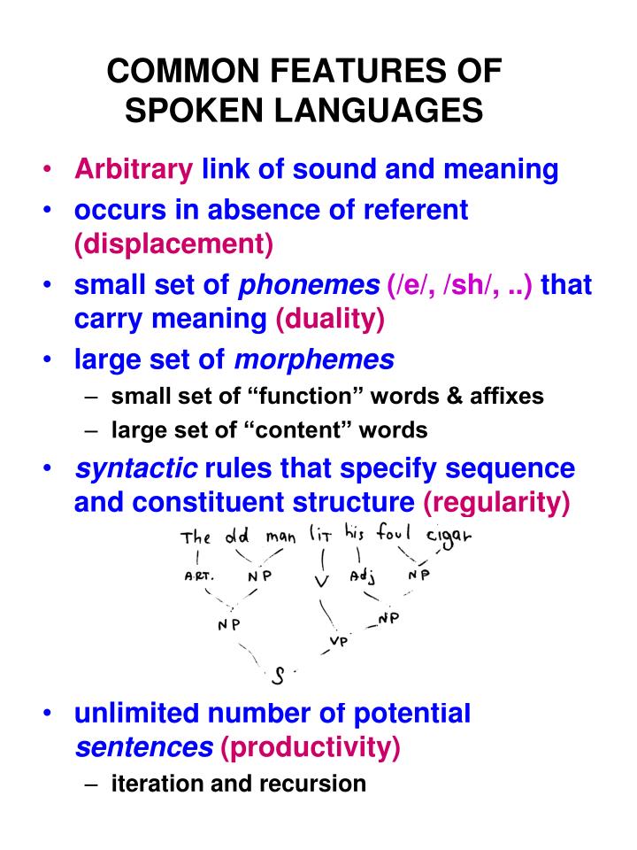 PPT COMMON FEATURES OF SPOKEN LANGUAGES PowerPoint Presentation Free ppt-common-features-of-spoken-languages-powerpoint-presentation-free