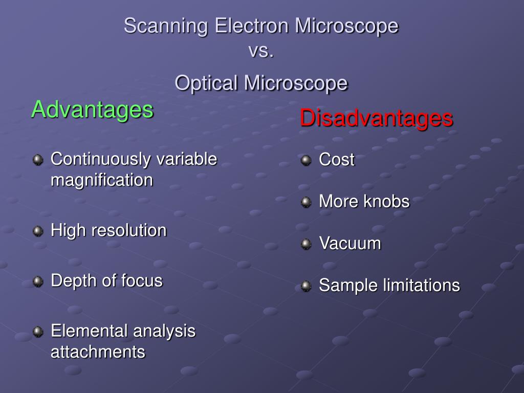 PPT - SEM microscope PowerPoint Presentation, free download - ID:798206