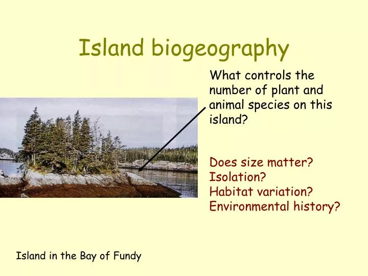 island biogeography n.