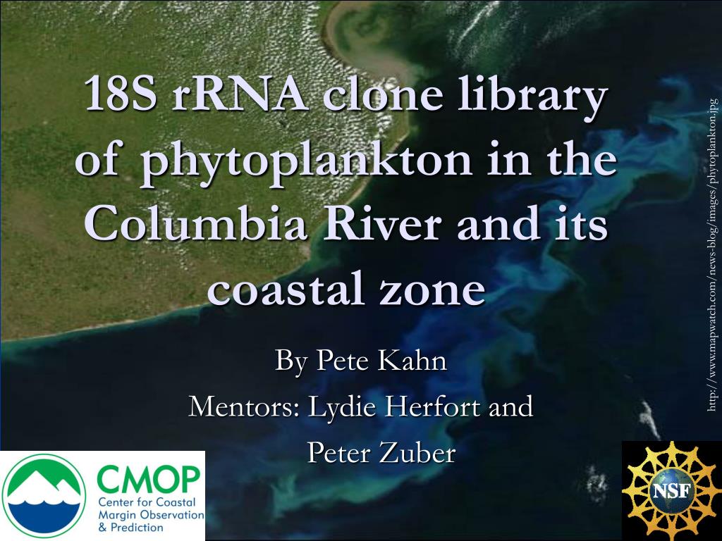 Home - Coastal Margin Observation and Prediction