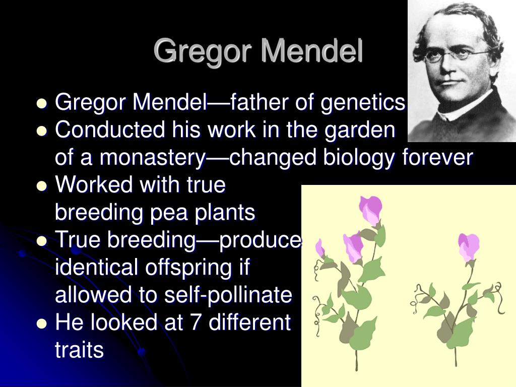 Ppt Genetics Beyond Mendel Powerpoint Presentation E7a 3770