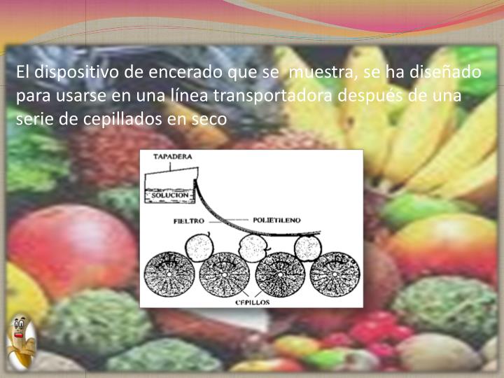 PPT - Encerado de Frutas y Hortalizas PowerPoint Presentation - ID:800270