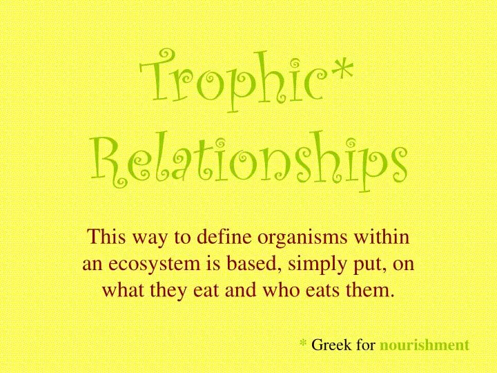 trophic relationships n.