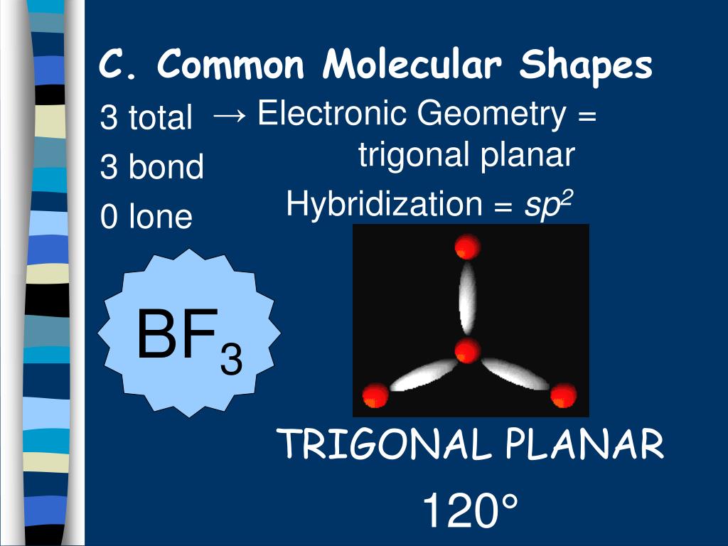 C. Common Molecular Shapes → Electronic Geometry = trigonal planar Hybridiz...