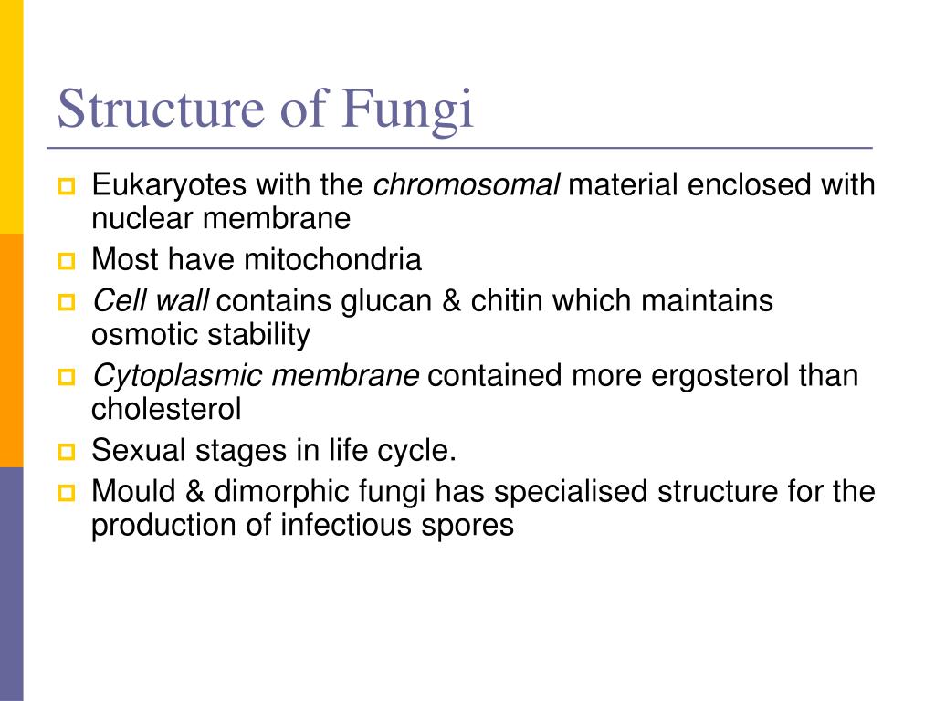 PPT - Infectious Disease Seminar I: Antifungal use for invasive fungal ...