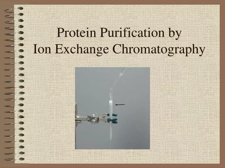 protein purification by ion exchange chromatography n.