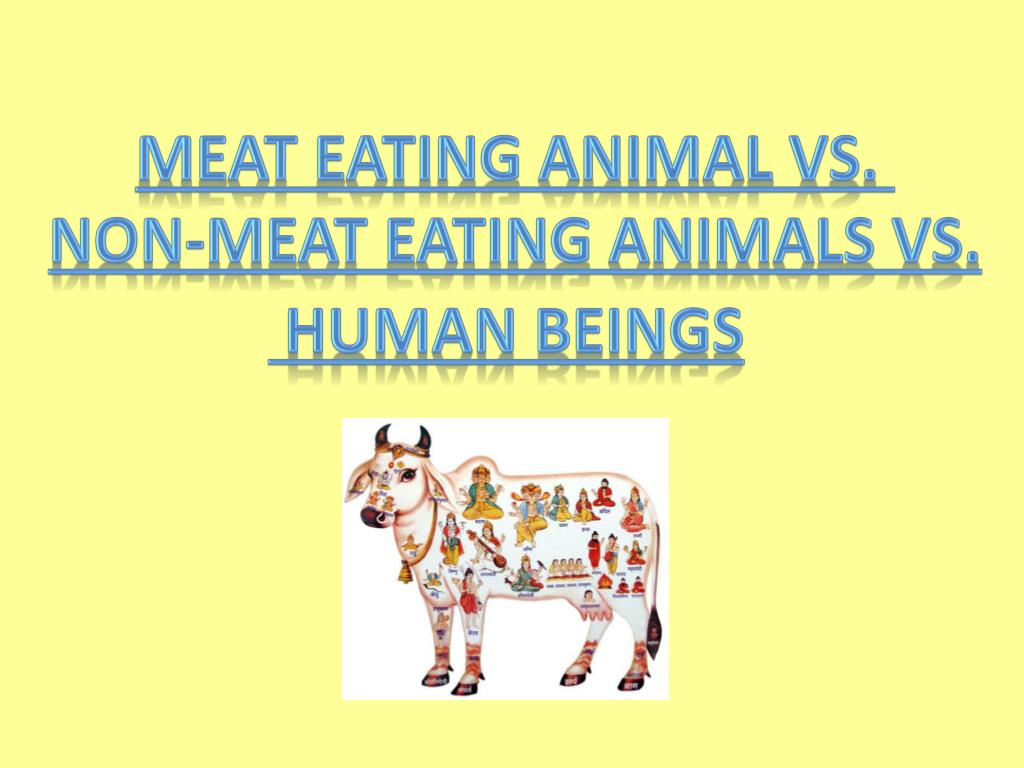 PPT - Meat Eating Animal vs. Non-meat Eating Animals vs. Human Beings  PowerPoint Presentation - ID:813153