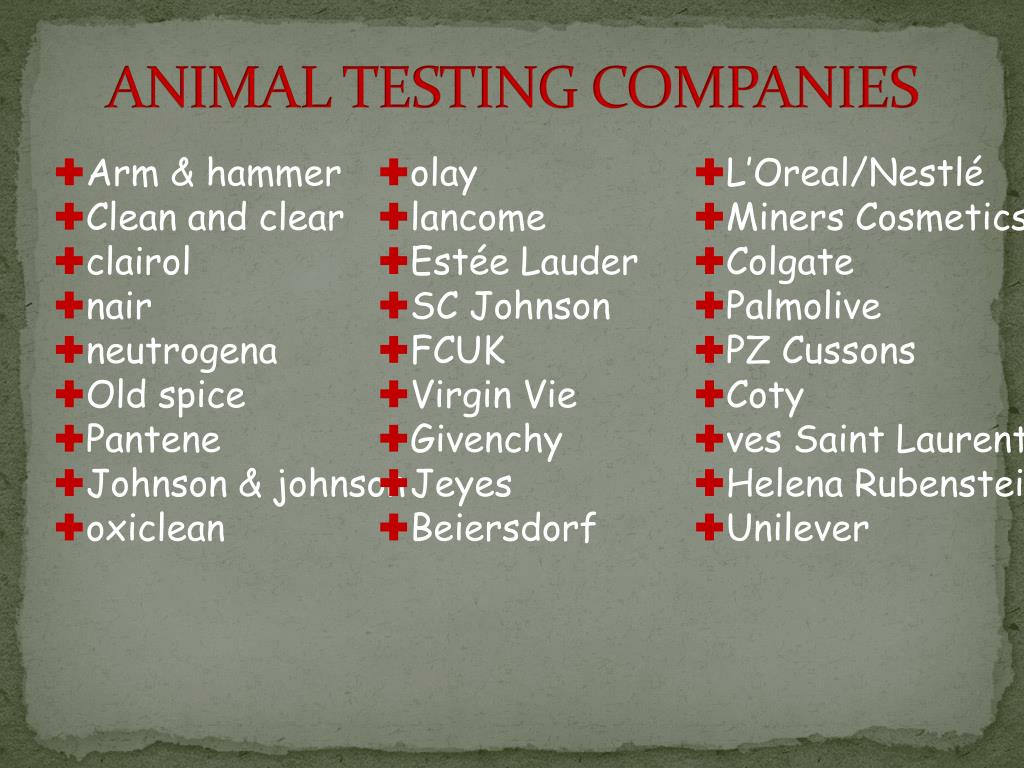 PPT - COSMETIC ANIMAL TESTING PowerPoint Presentation, free download -  ID:813700