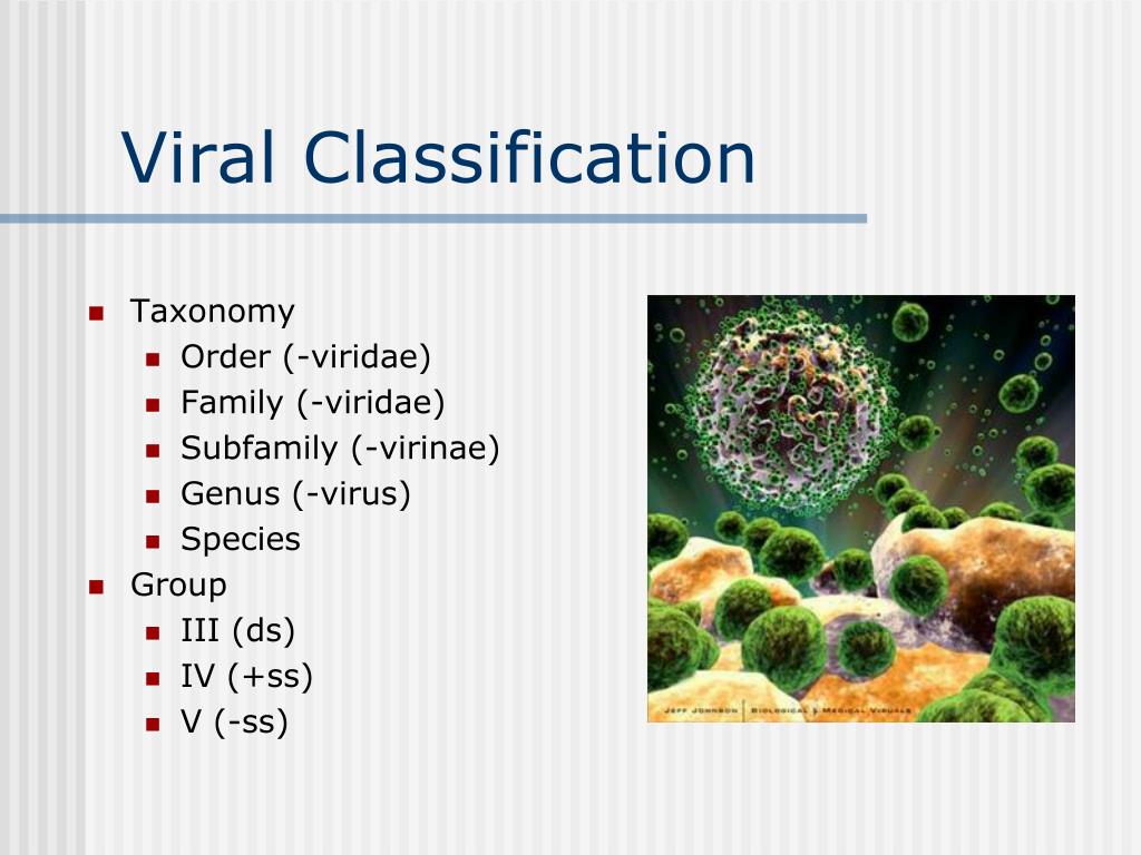 Specific group. Classification of viruses. RNA viruses. Tribonema viridae. Virus taxonomy. Classification and nomenclature of viruses.