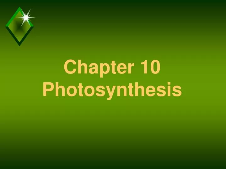 chapter 10 photosynthesis n.