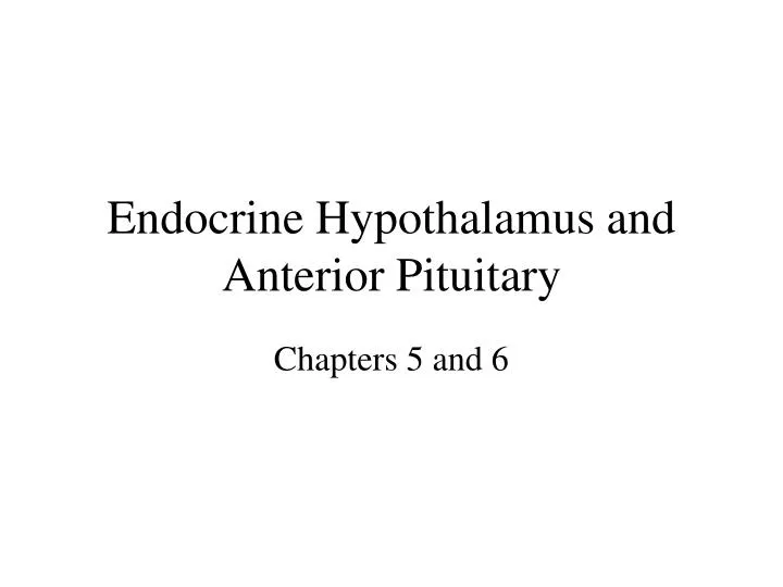 endocrine hypothalamus and anterior pituitary n.