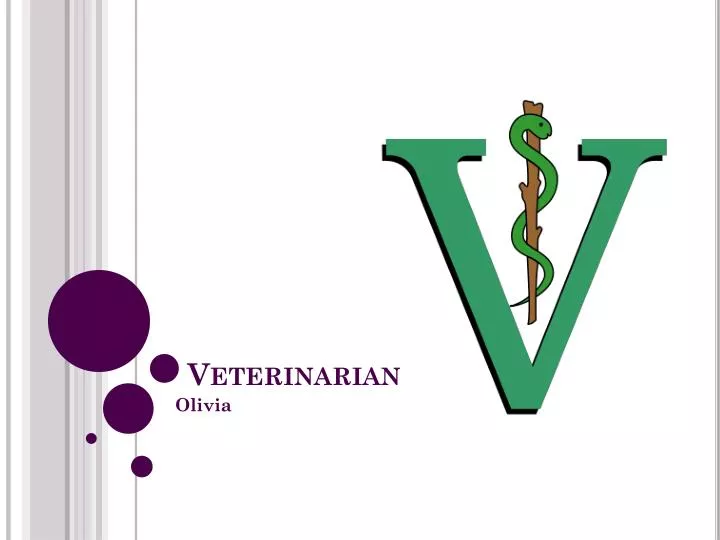 PPT Veterinarian PowerPoint Presentation, free download ID81669