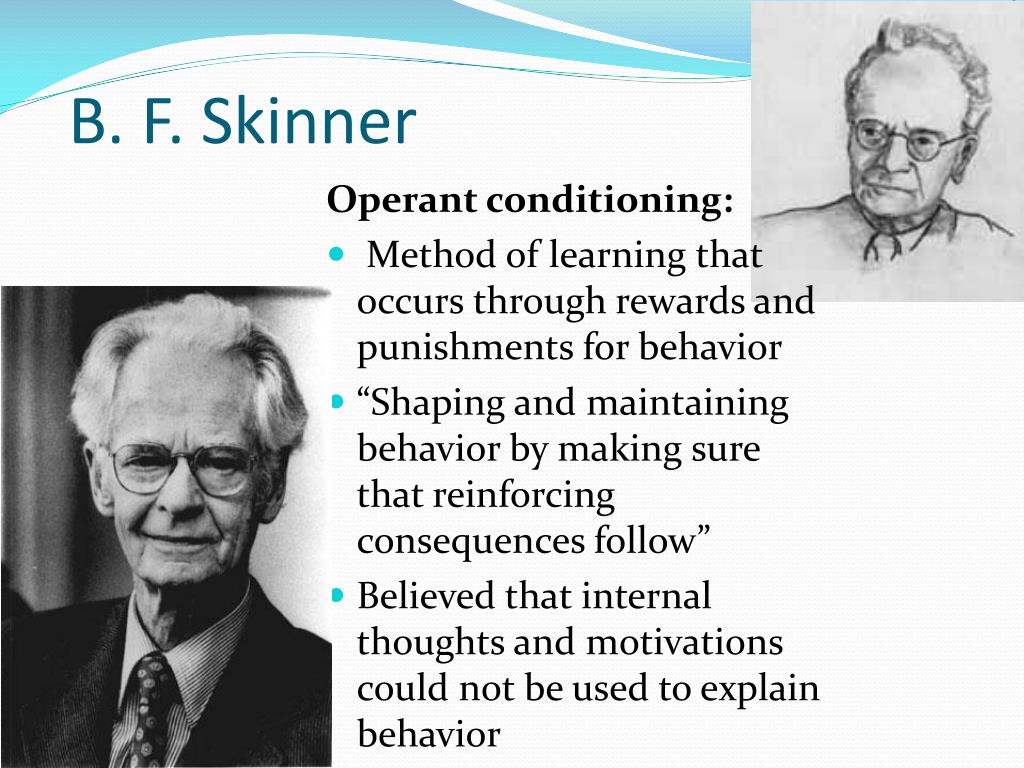 PPT - Behaviorism PowerPoint Presentation, free download - ID:817625
