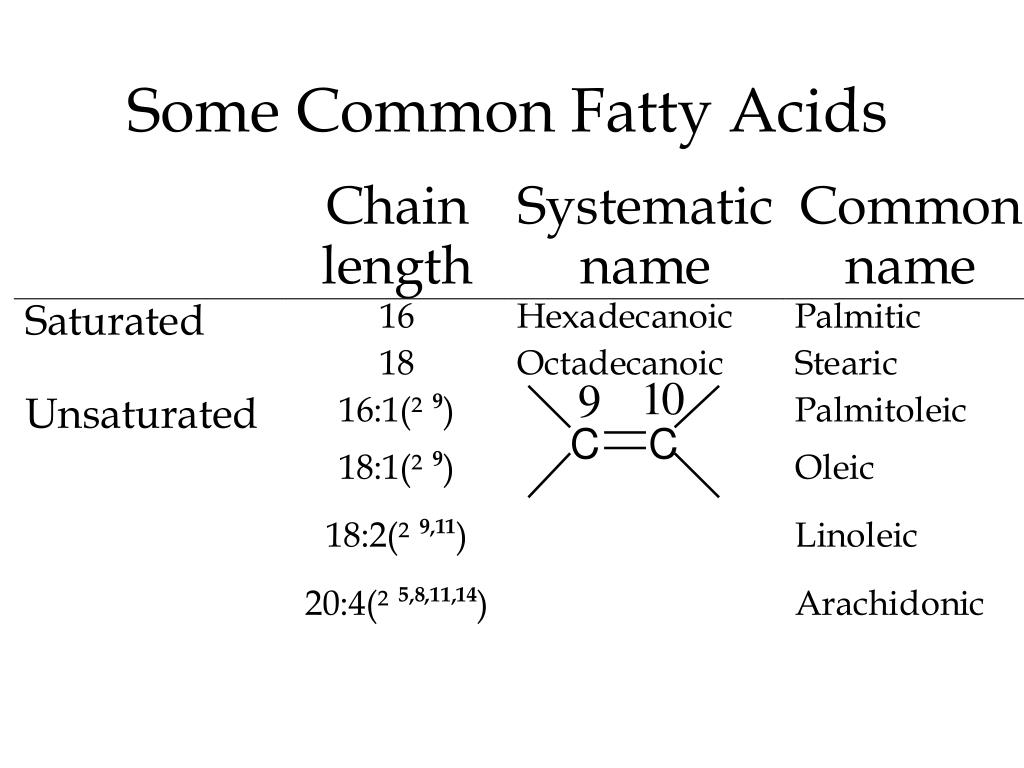 PPT Lipid structure, function and chemistry PowerPoint Presentation