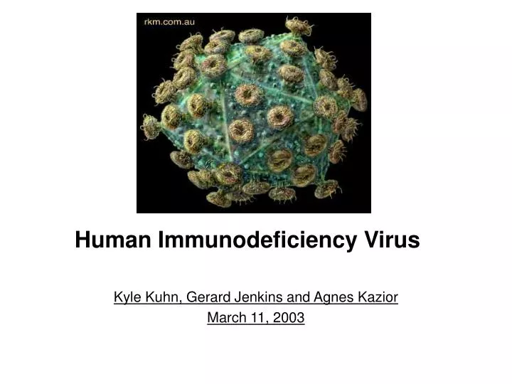 PPT - Human Immunodeficiency Virus PowerPoint Presentation, free ...