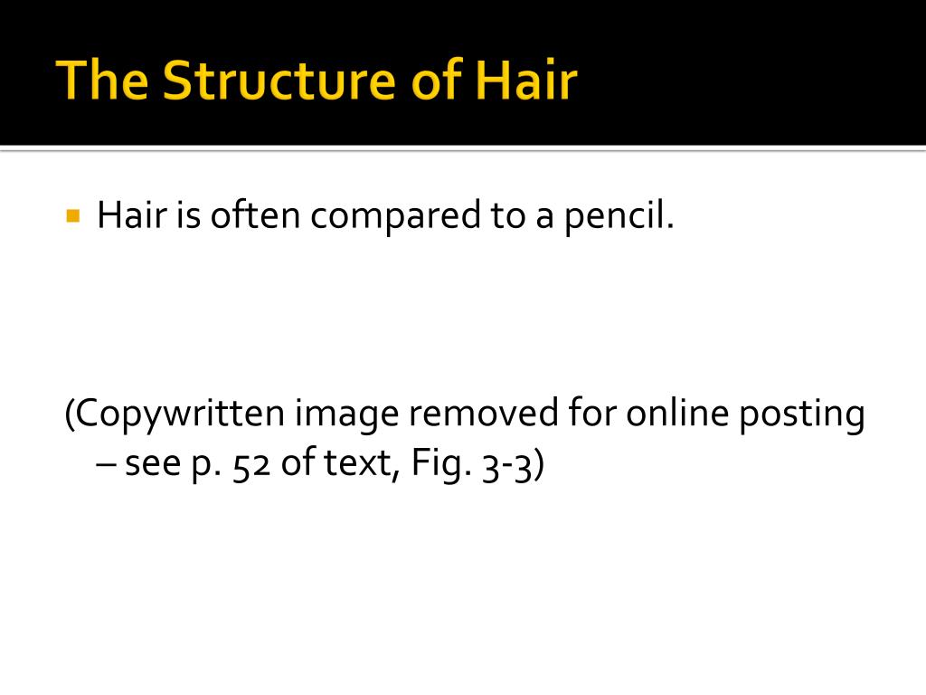 Ppt The Study Of Hair Powerpoint Presentation Free Download Id820592
