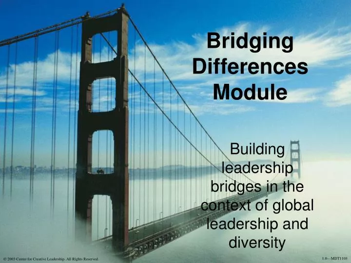 BRIDGING DIFFERENCES DEFINITION visual data 5