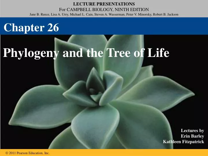 evolution of immunity in invertebrates essay In this essay, i propose that there evolution of the immune system is a constraint on a parasite’s strategy the enigma of invertebrate immunity as. evolution of immunity in invertebrates essay In this essay, i propose that there evolution of the immune system is a constraint on a parasite’s strategy the enigma of invertebrate immunity as.