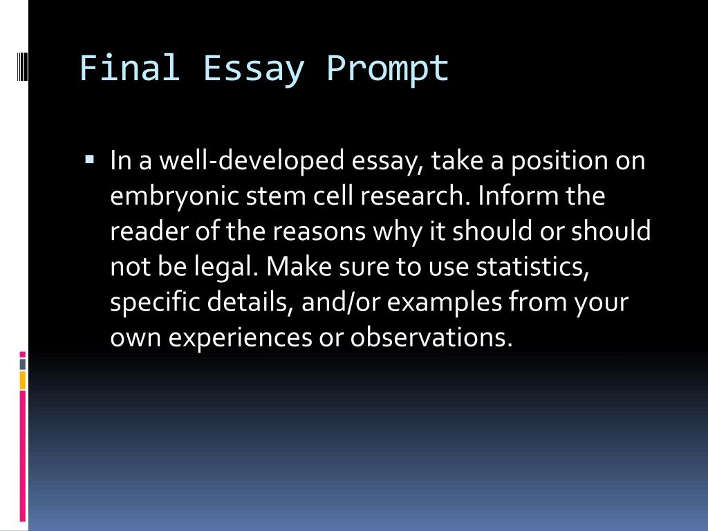 embryonic stem cell research essay