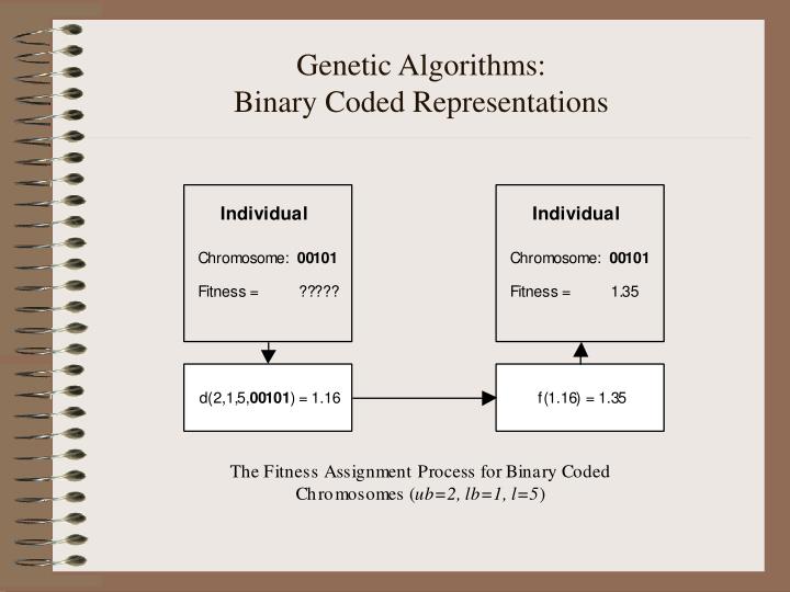 Binary options genetic algorithm