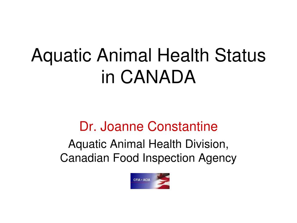 PPT - Aquatic Animal Health Status in CANADA PowerPoint Presentation, free  download - ID:827396