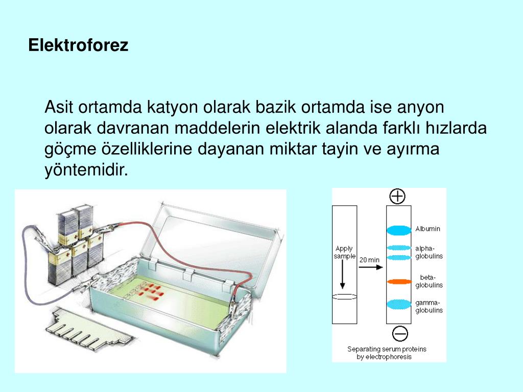Тест песня электрофорез. Схема проведения электрофореза ДНК В агарозном геле.. Метод горизонтального электрофореза в агарозном геле. Схема камеры для горизонтального электрофореза. Горизонтальный гель электрофорез.
