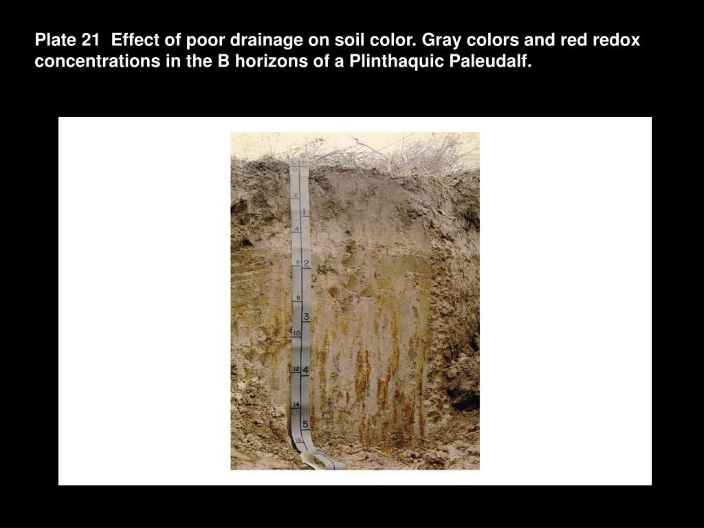 PPT Soil Aeration PowerPoint Presentation, free download ID829360