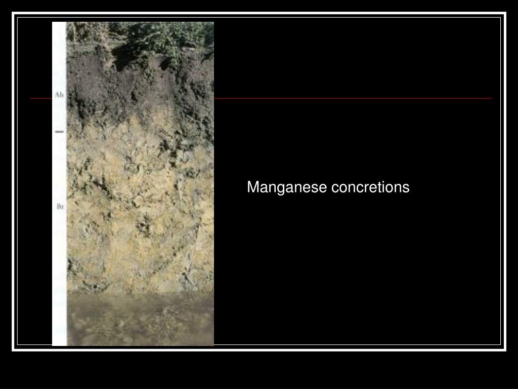 PPT Soil Aeration PowerPoint Presentation, free download ID829360