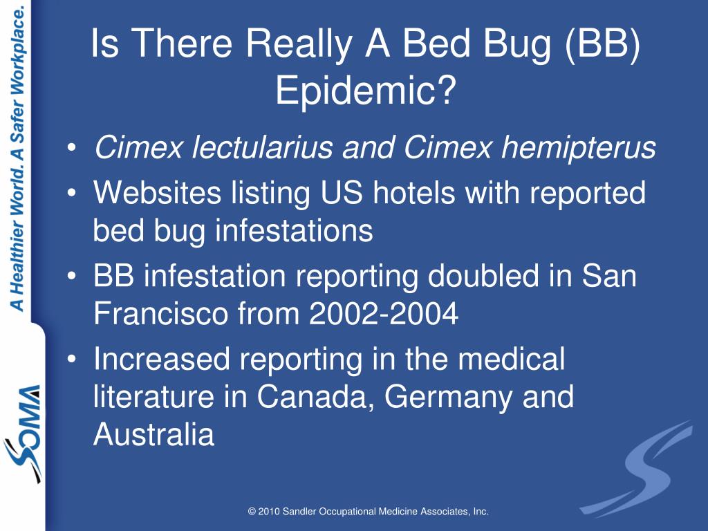 PPT Occupational Medical Aspects of the Bed Bug Epidemic PowerPoint