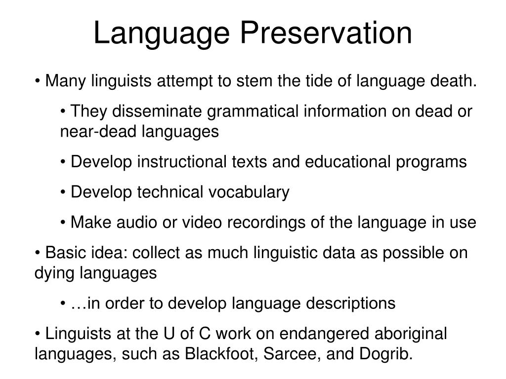 language preservation essay