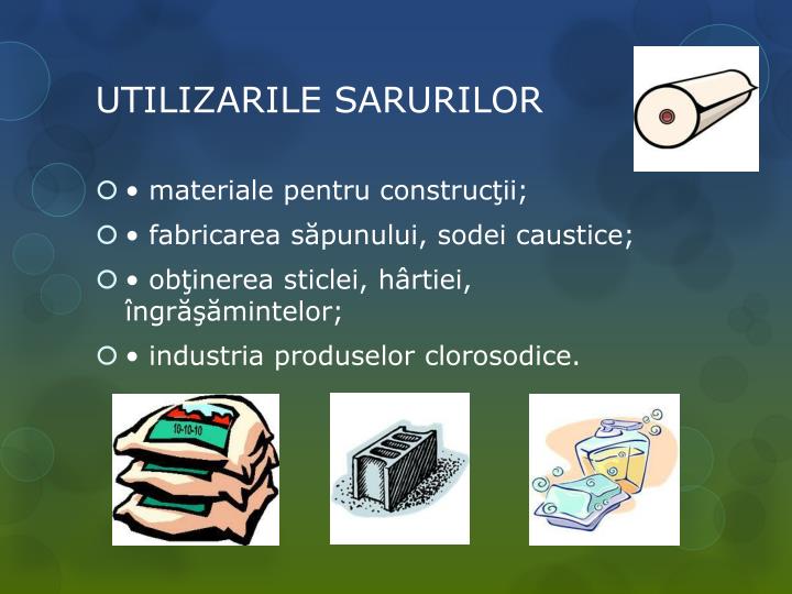 PPT - SARuri PowerPoint Presentation, free download - ID:832911
