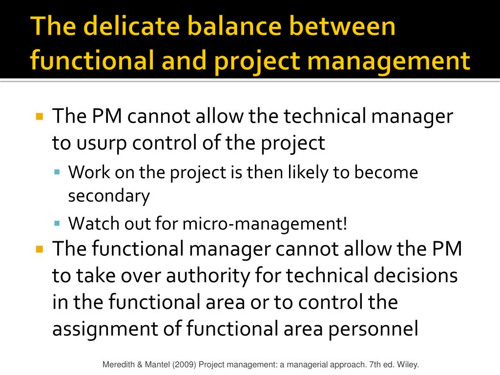 PPT The Project Manager PowerPoint Presentation, free download ID833051