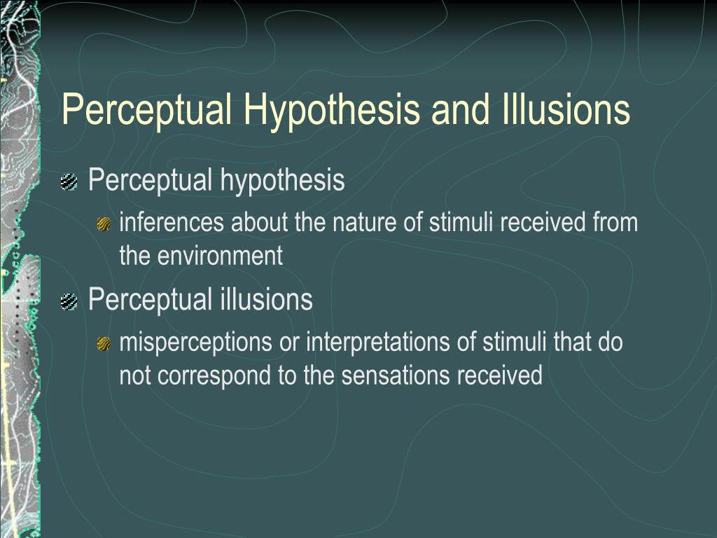 what perceptual hypothesis