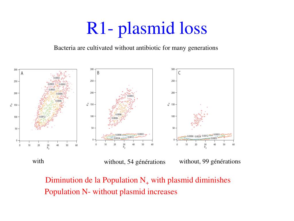 PPT - Phenotypic variations in a monoclonal bacterial population