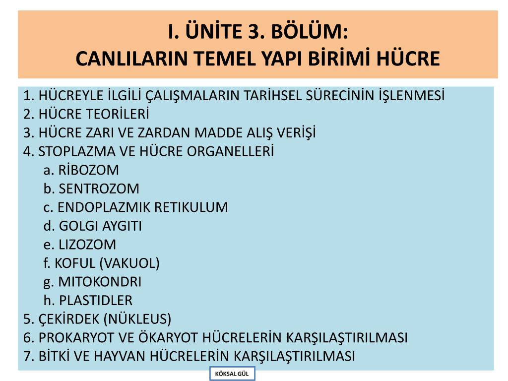 Promsvyazbankın banka ortakları. Hangi bankalarda komisyon olmadan para çekebilirim 26