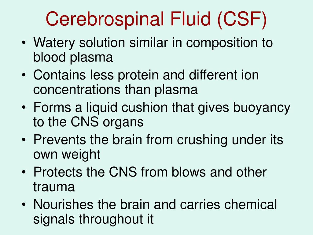 cerebrospinal fluid leak repair cpt code cerebrospinal fluid leak repair cpt code