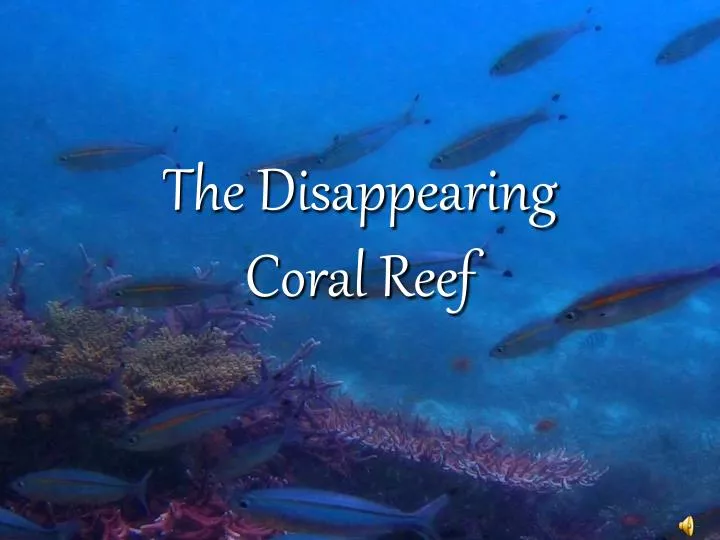 the disappearing coral reef n.