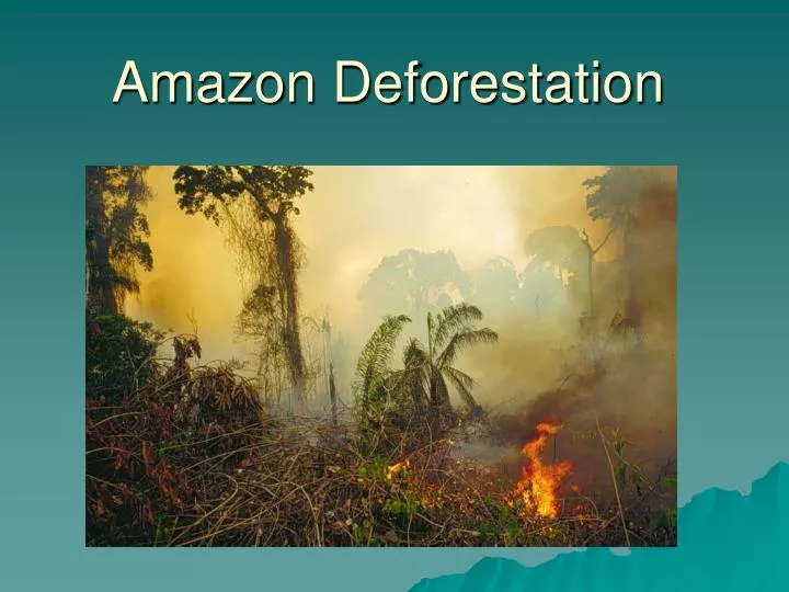 amazon deforestation n.