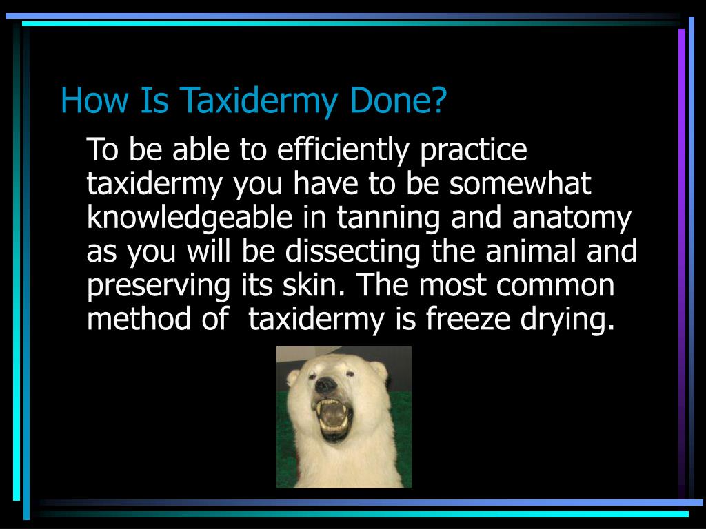 taxidermy done ppt powerpoint presentation