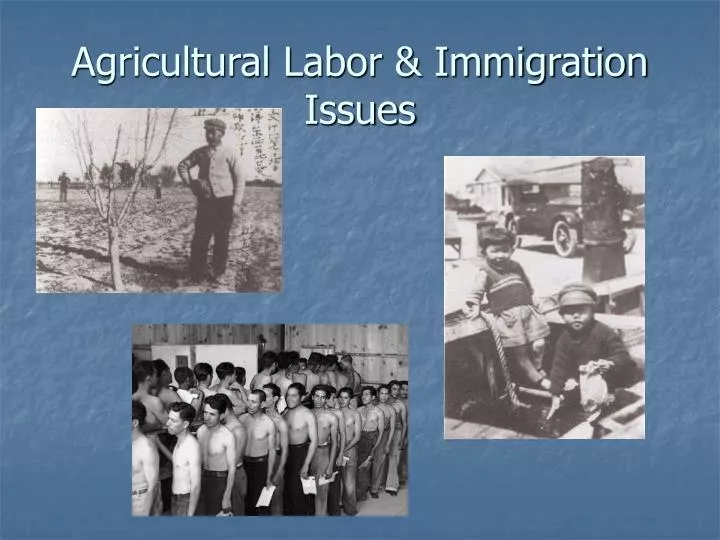 agricultural labor immigration issues n.
