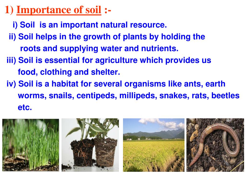 essay on soil uses
