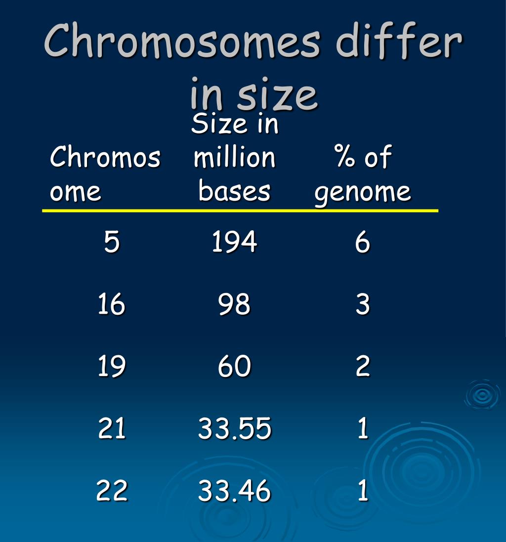 Ppt Chromosomes Powerpoint Presentation Free Download Id 838339