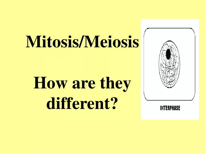 mitosis meiosis how are they different n.